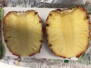 パイナップルを丸ごと 保存するときのポイントは 常温 冷蔵 冷凍するとき どれくらい日持ちするのかを解説しましょう まごころ365