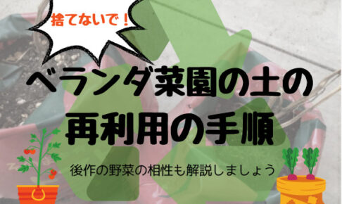 ベランダ菜園で使った土を捨ててはいけない ミニトマトの土の再利用の手順と後作に適した野菜と根菜類を育てた例 まごころ365